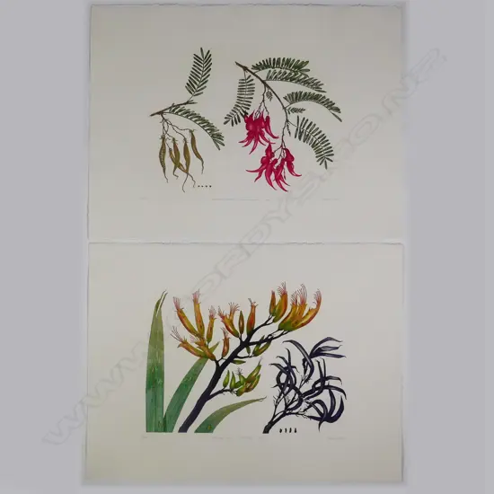 Bryan Poole - Botanical etchings