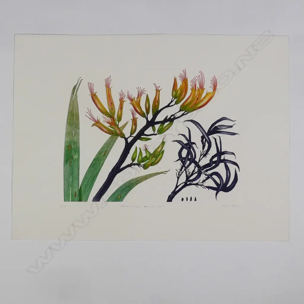 Bryan Poole - Botanical etchings Image 1++