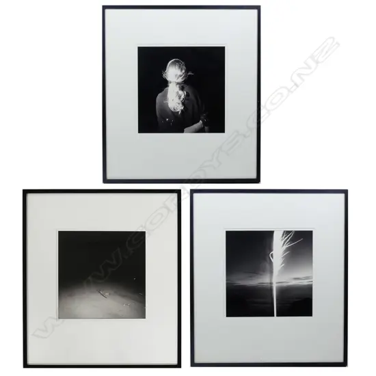 Patrick Reynolds (b. 1962) 'Planter's Faith I