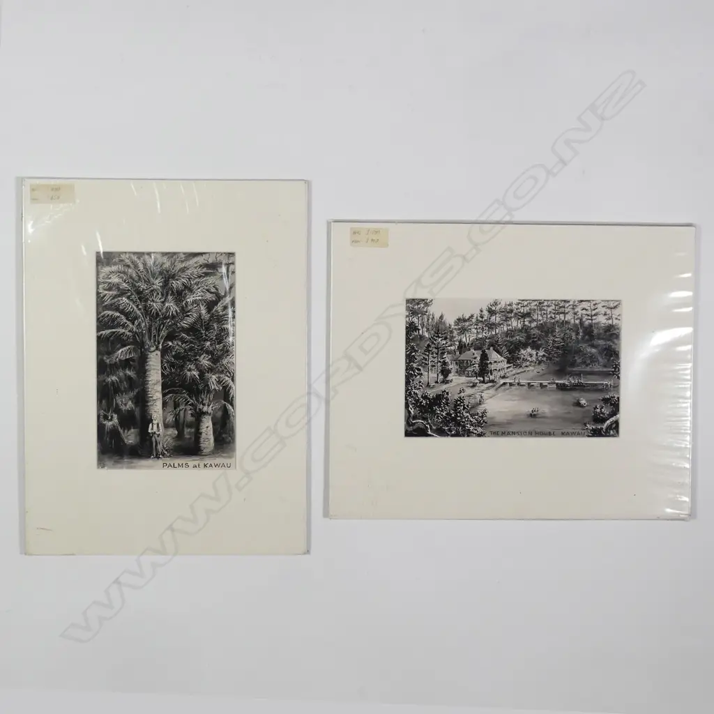 Artist Unknown - Two illustrative monochrome ink sketches of Kawau Image 1++