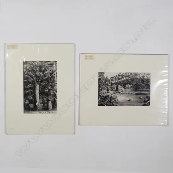 Artist Unknown - Two illustrative monochrome ink sketches of Kawau