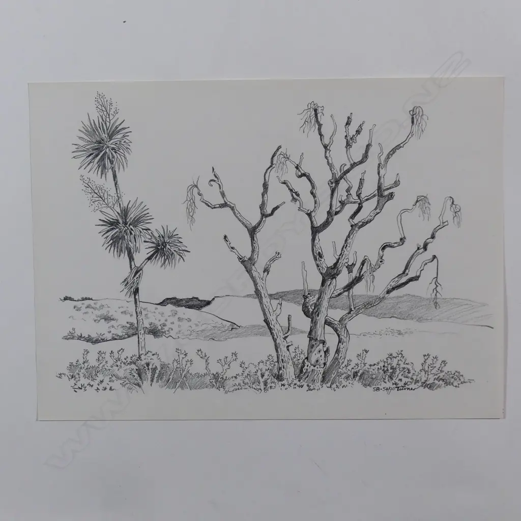 Dennis Knight Turner (1924-2011) New Zealand landscape sketch 58 Image 1++