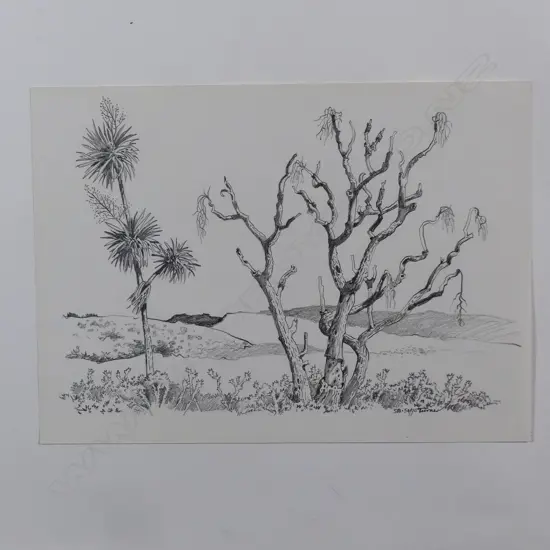 Dennis Knight Turner (1924-2011) New Zealand landscape sketch 58
