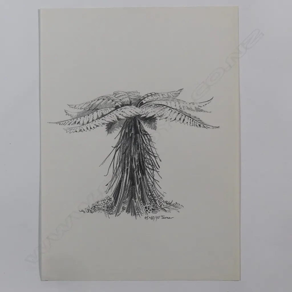 Dennis Knight Turner (1924-2011) New Zealand punga sketch 45 Image 1++