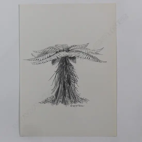 Dennis Knight Turner (1924-2011) New Zealand punga sketch 45