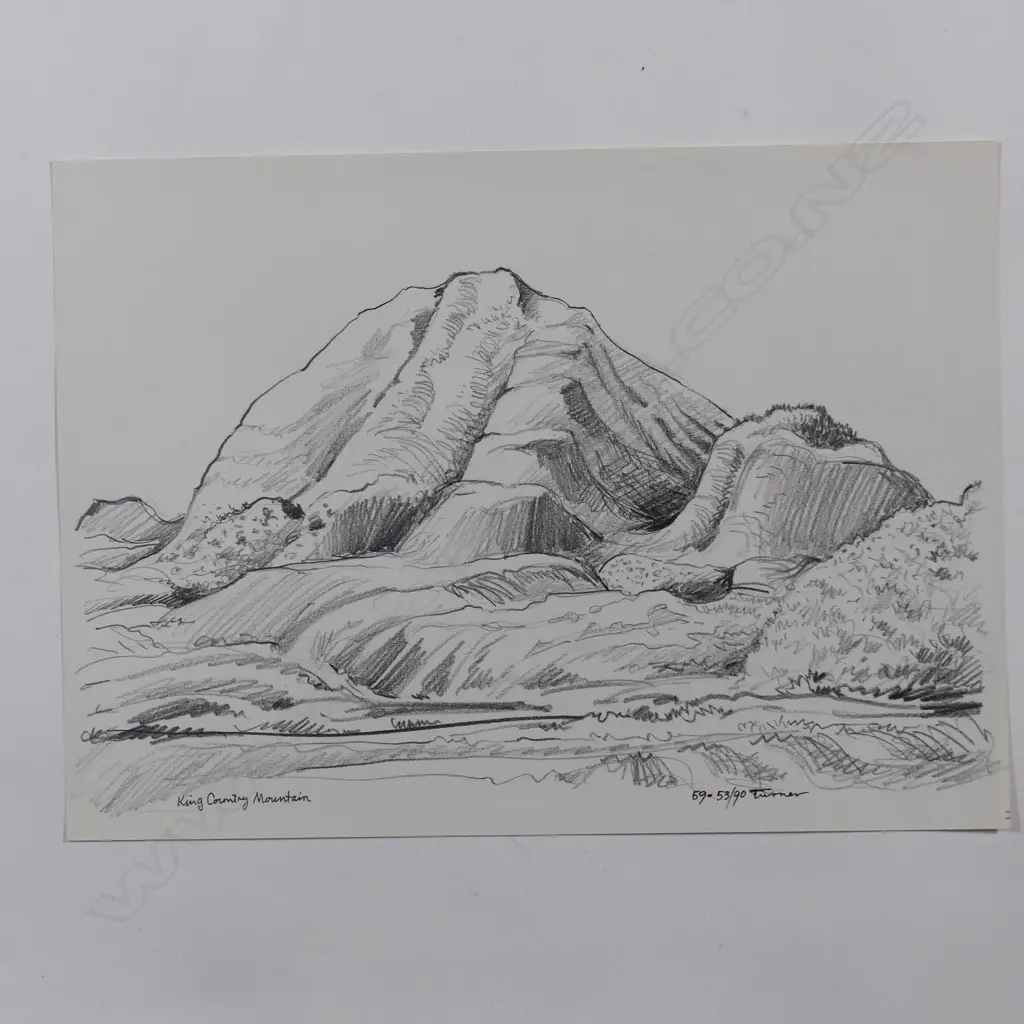 Dennis Knight Turner (1924-2011) 'King Country Mountain' Image 1++