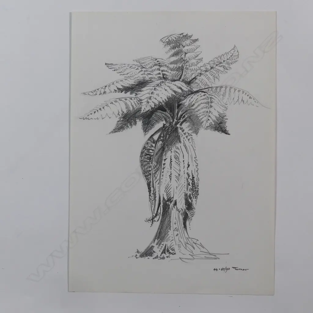 Dennis Knight Turner (1924-2011) New Zealand punga sketch 44 Image 1++