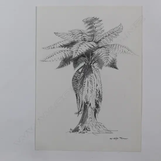 Dennis Knight Turner (1924-2011) New Zealand punga sketch 44