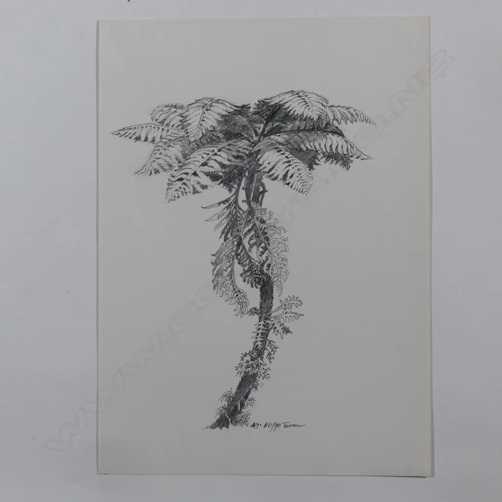 Dennis Knight Turner (1924-2011) New Zealand punga sketch 49 Image 1++