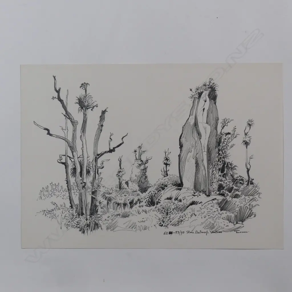 Dennis Knight Turner (1924-2011) 'Stone Outcrop - Waitomo' Image 1++