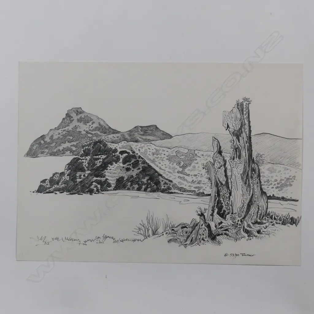 Dennis Knight Turner (1924-2011) New Zealand landscape sketch 61 Image 1++
