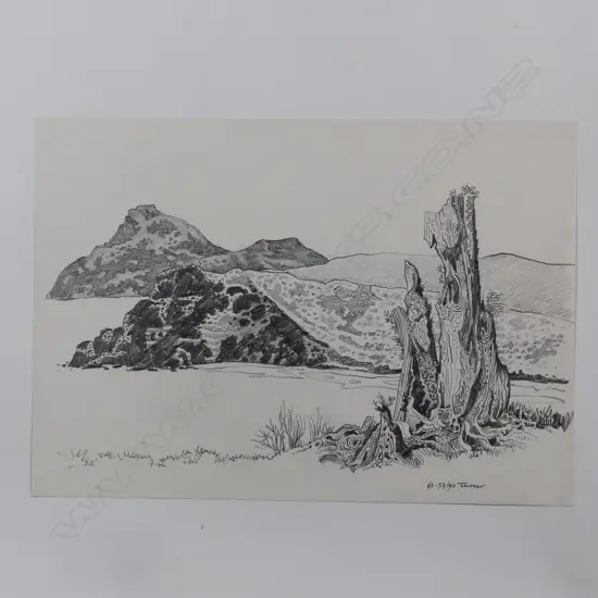 Dennis Knight Turner (1924-2011) New Zealand landscape sketch 61