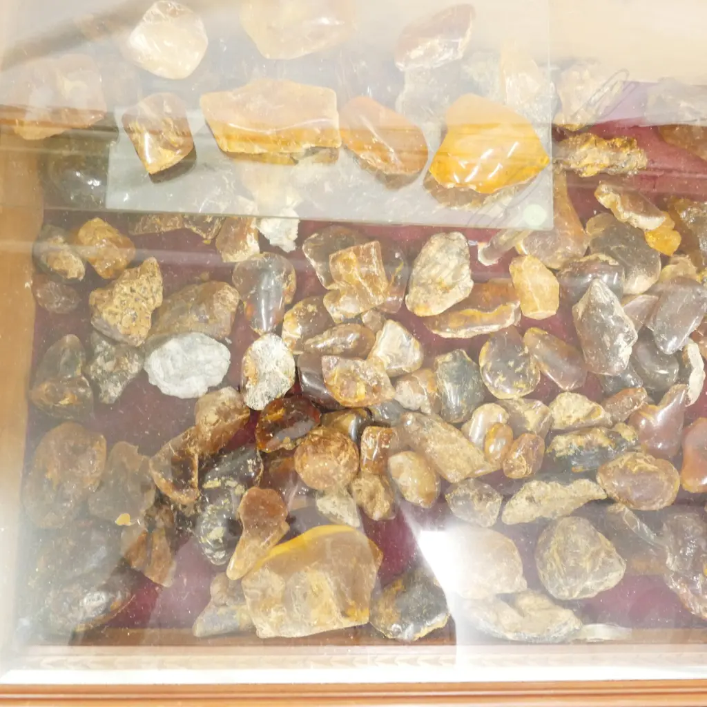 A carved kauri display cabinet Image 1++