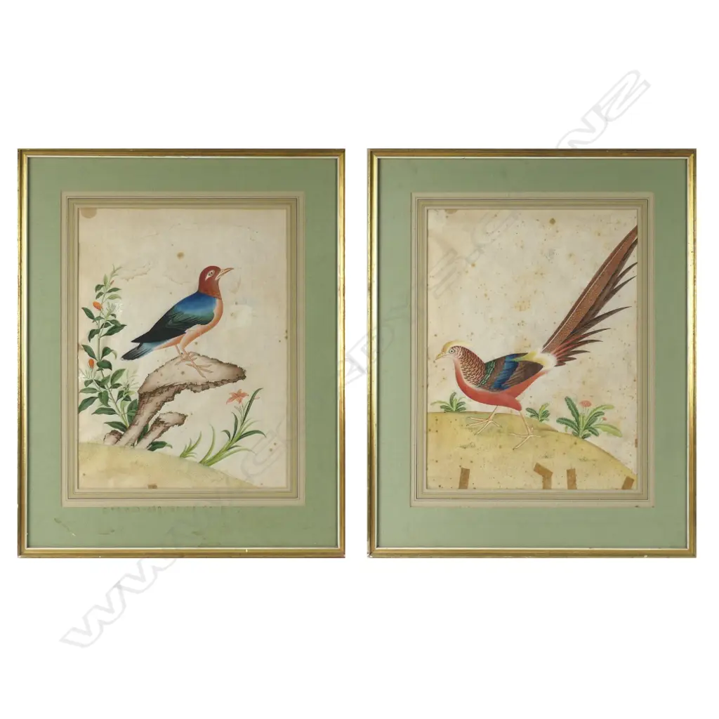 A pair of 18thC Chinese polychrome watercolour drawings of exotic birds Image 1++