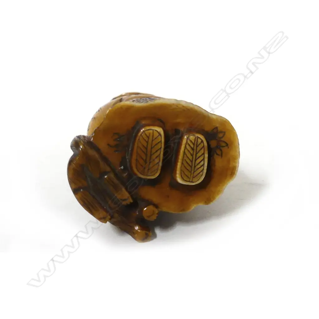 A Japanese ivory netsuke Image 1++