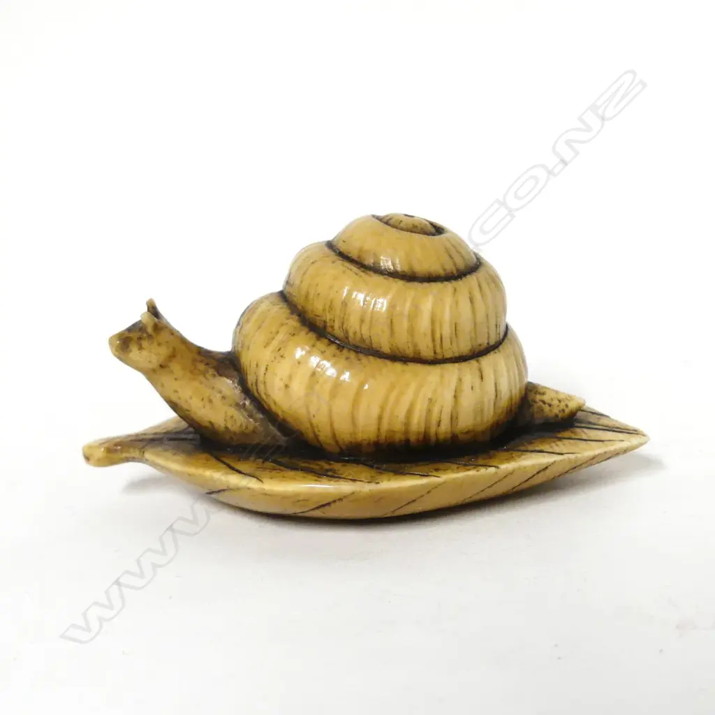 A Japanese ivory netsuke Image 1++