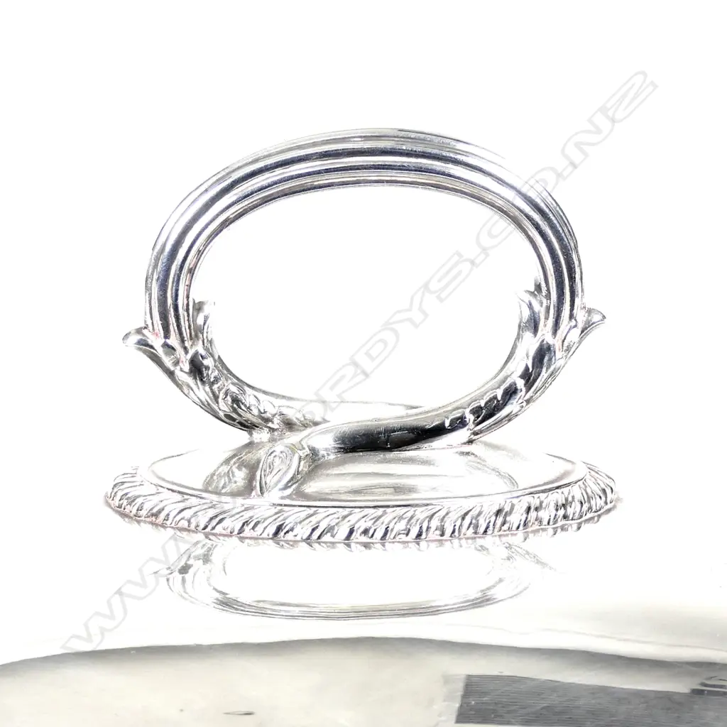 A silver plate game cover Image 1++