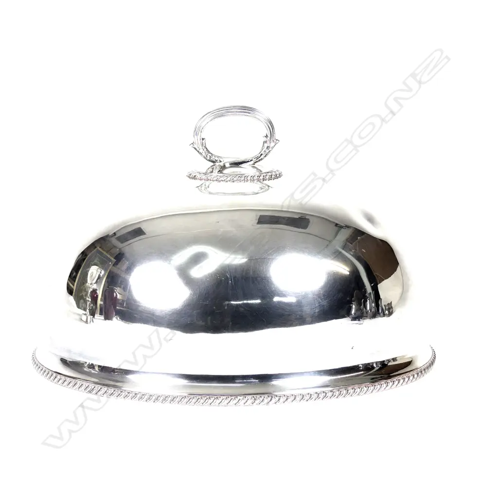 A silver plate game cover Image 1++