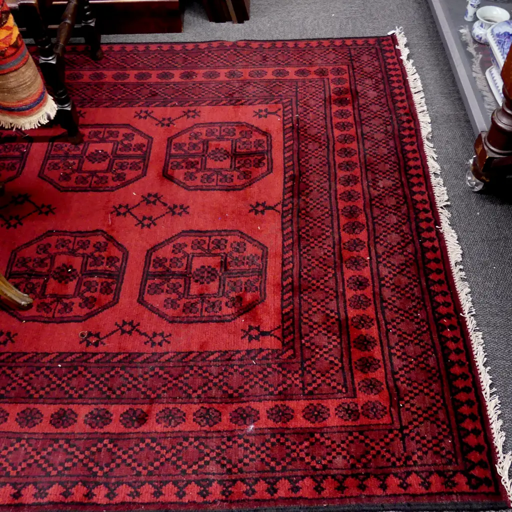 An elephant foot carpet Image 1++