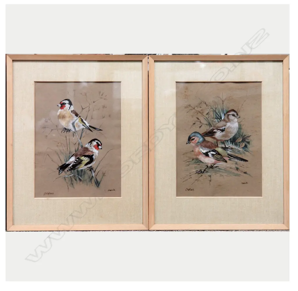 Frank Jarvis Image 1++