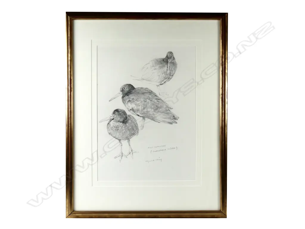 Raymond Ching Image 1++