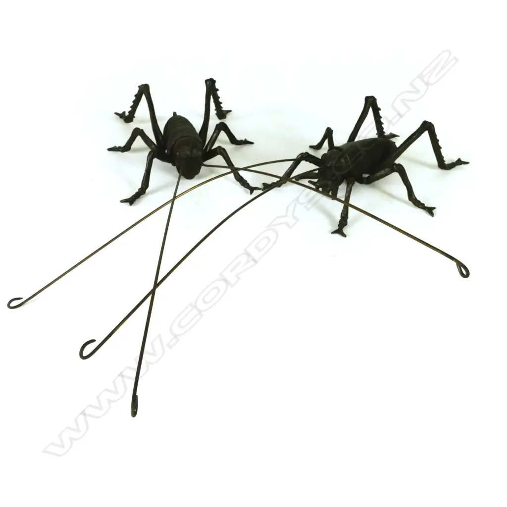 Jonathan Campbell Image 1++