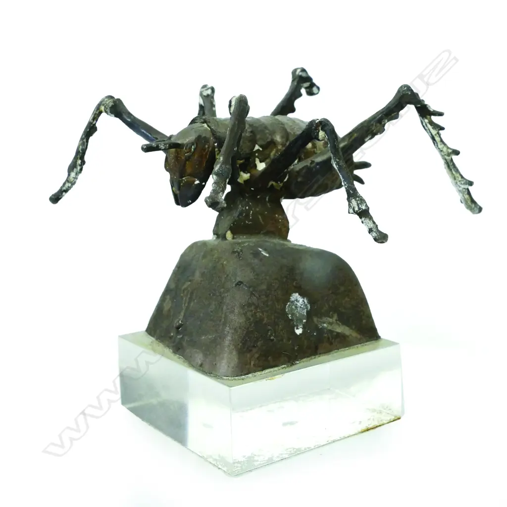 Jonathan Campbell Image 1++