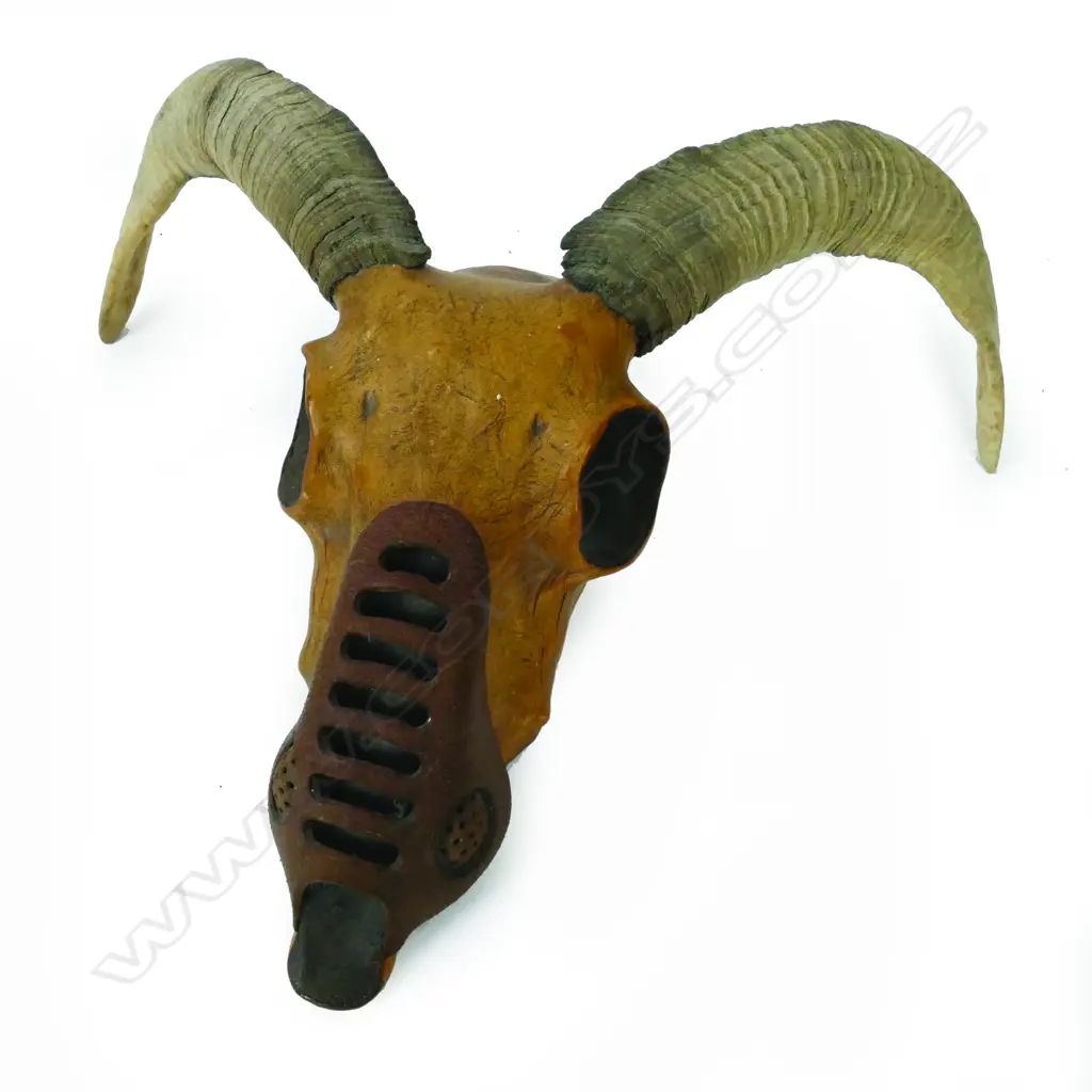 A sculpted leather ram skull Image 1++
