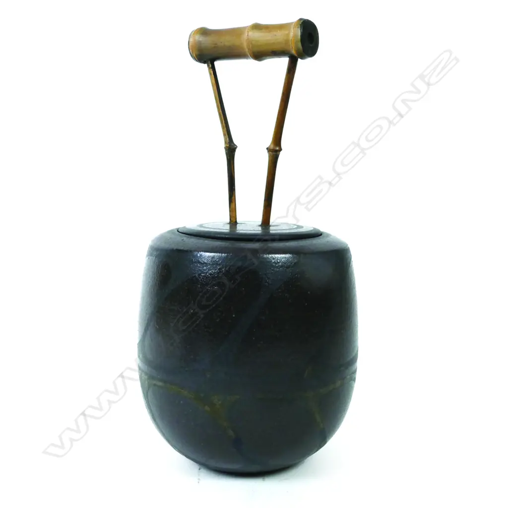 Anneke Borren Image 1++