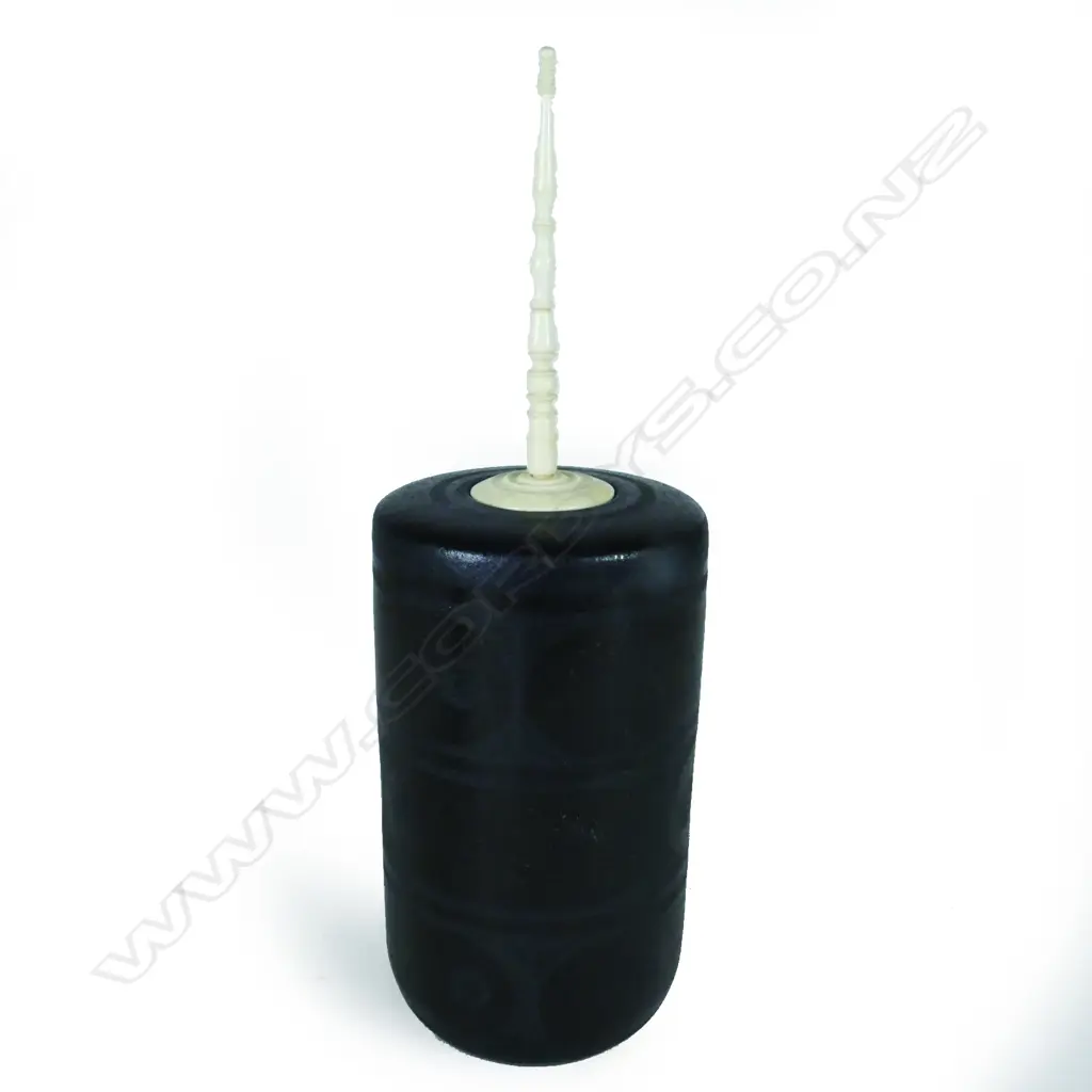 Anneke Borren Image 1++