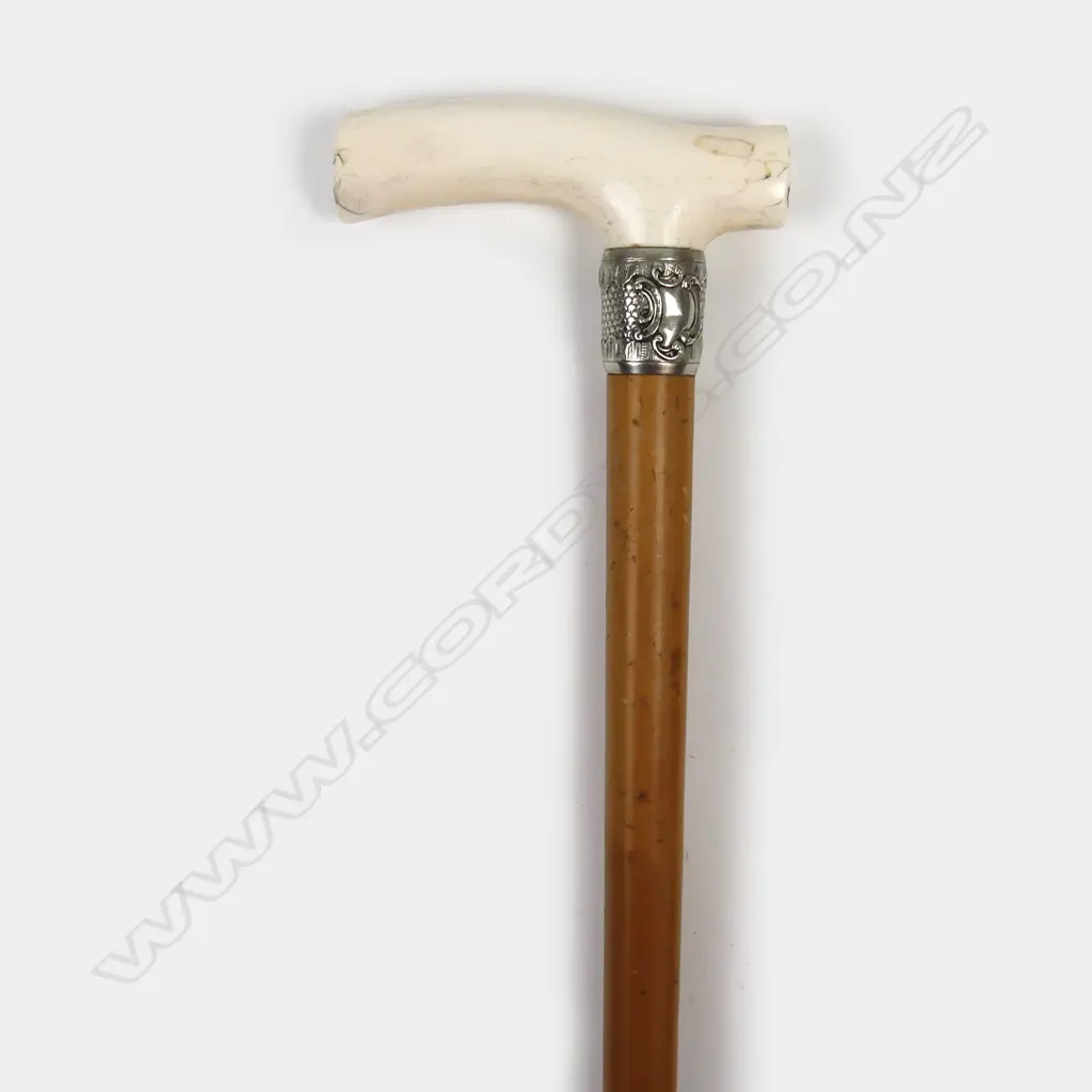 A vintage walking stick Image 1++