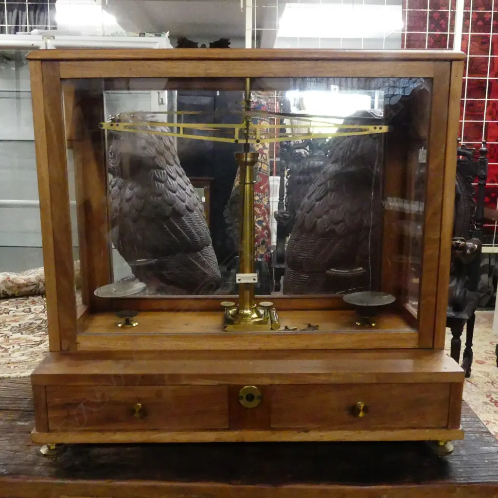 A set of 19thC apothecaries’ scales Image 1++