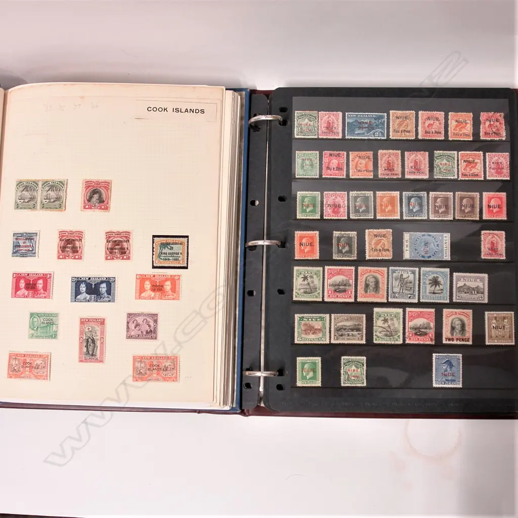 Collections of Cook Islands and Niue stamps held in two albums Image 1++