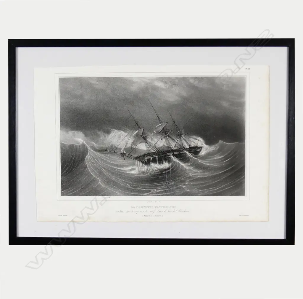 A lithograph from D'Urville's Voyage de L'Astrolabe Image 1++