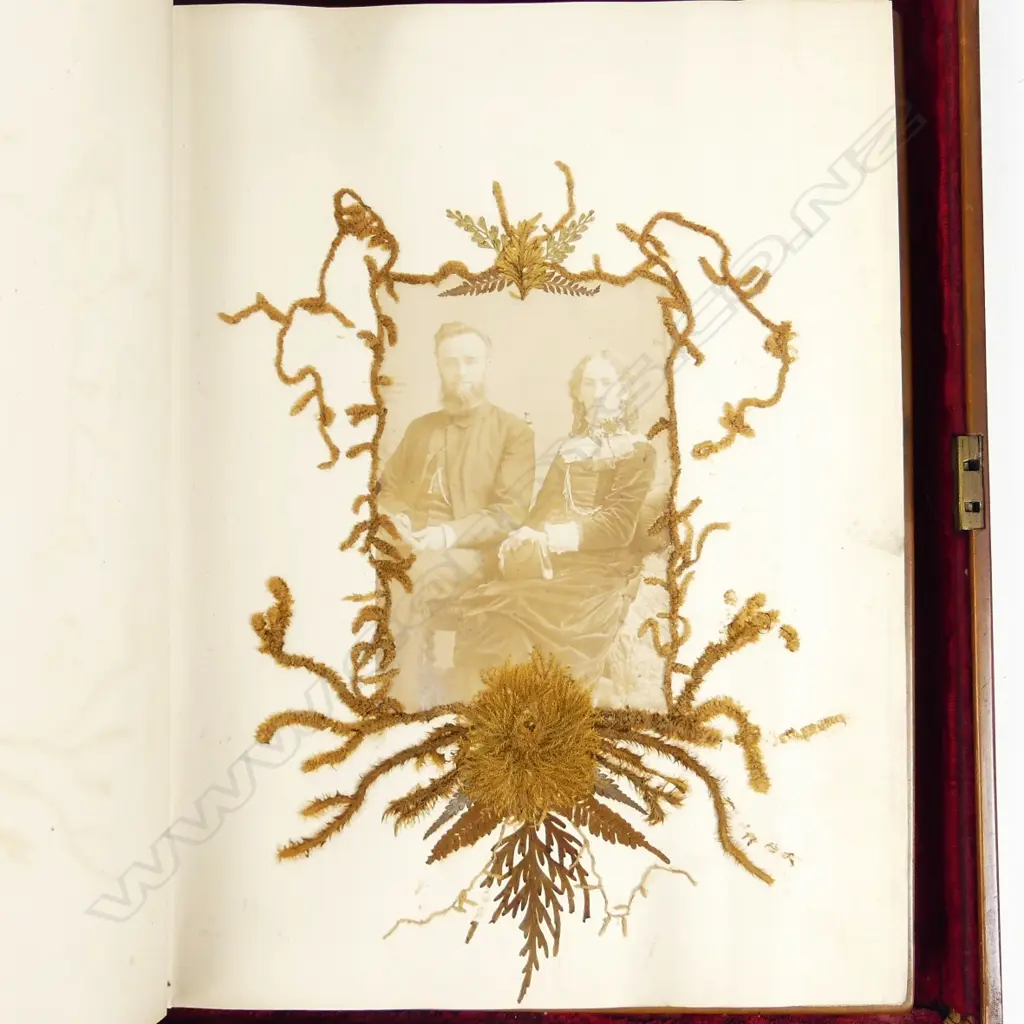 An impressive 19thC figured kauri boxed and covered album Image 1++
