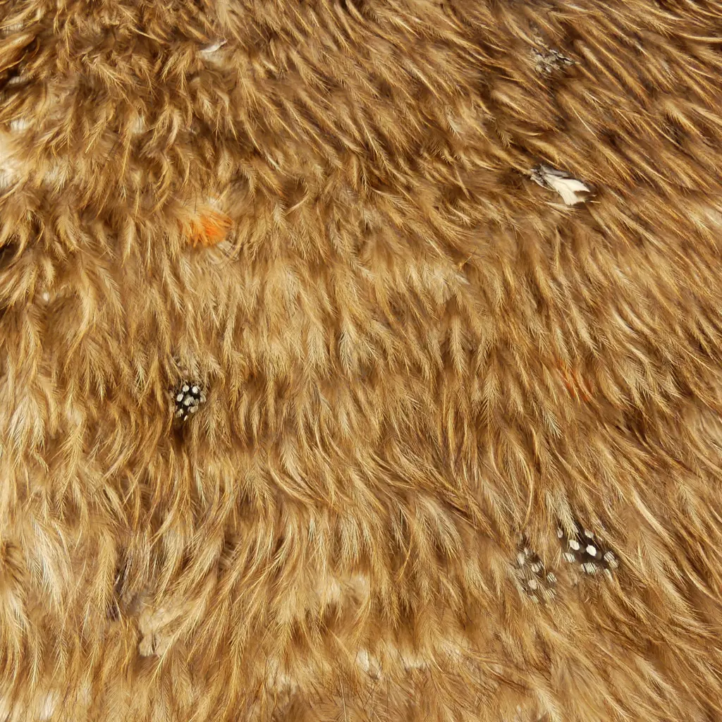 A historical Maori kahu kiwi (kiwi feather cloak) Image 1++