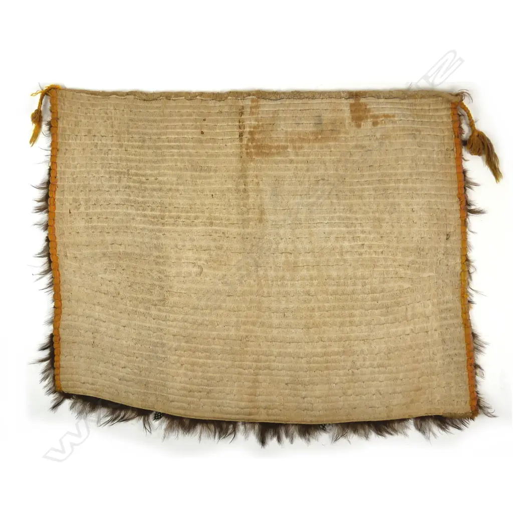 A historical Maori kahu kiwi (kiwi feather cloak) Image 1++