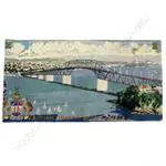 A vintage Feltex picture rug Image 1++