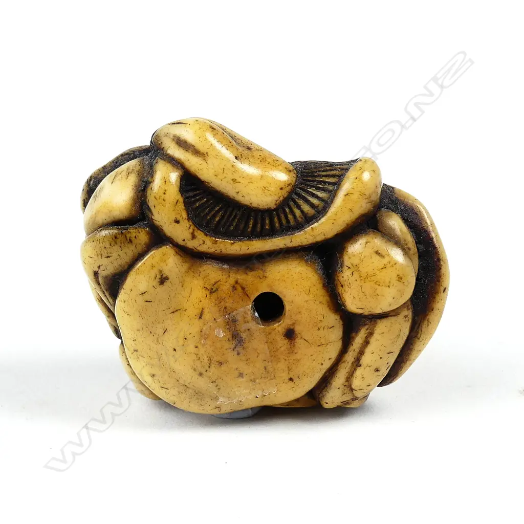A Japanese carved bone netsuke Image 1++