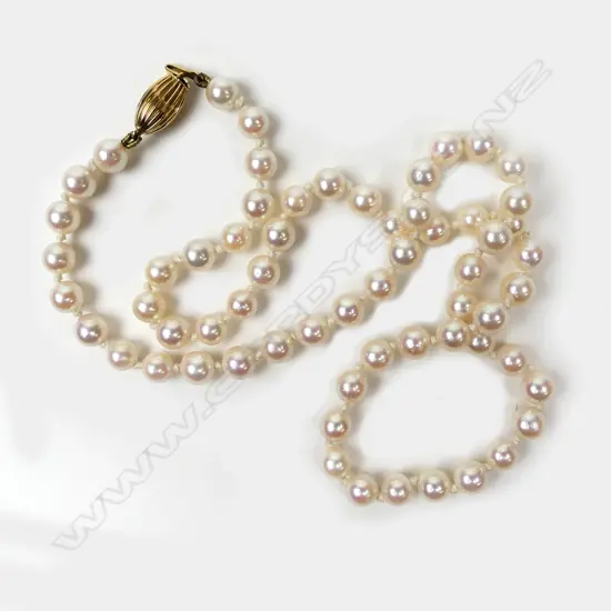 A cultured pearl necklace