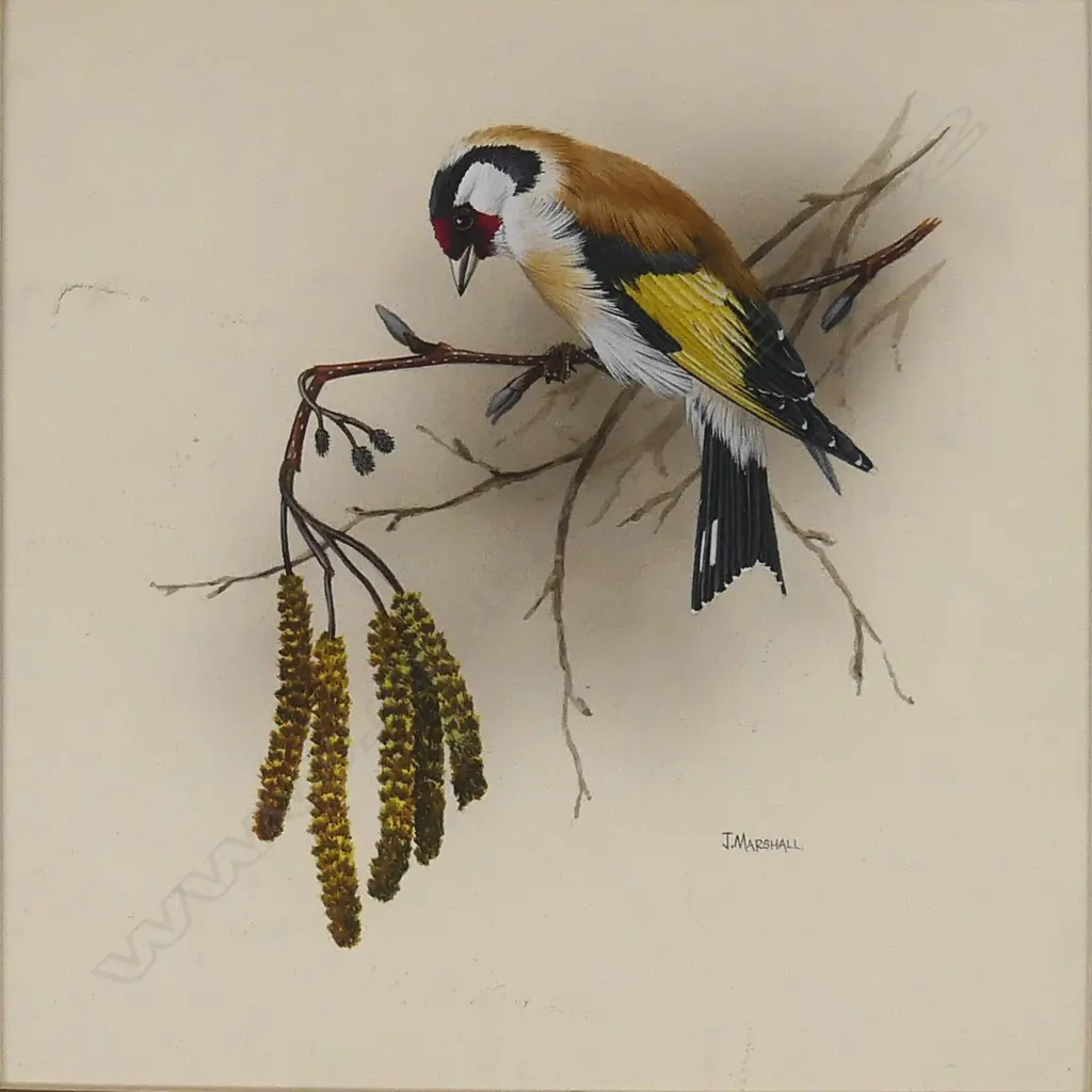 Janet Marshall Image 1++