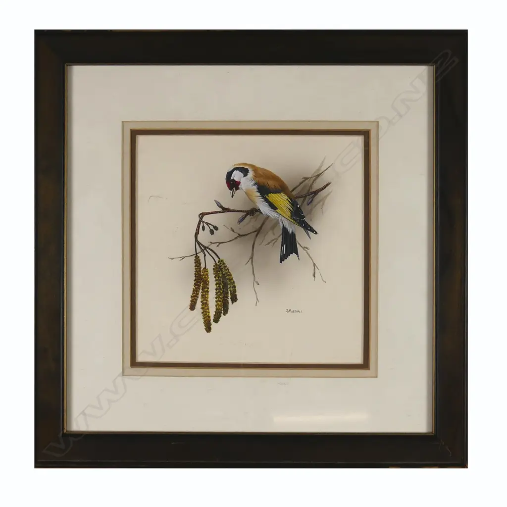 Janet Marshall Image 1++