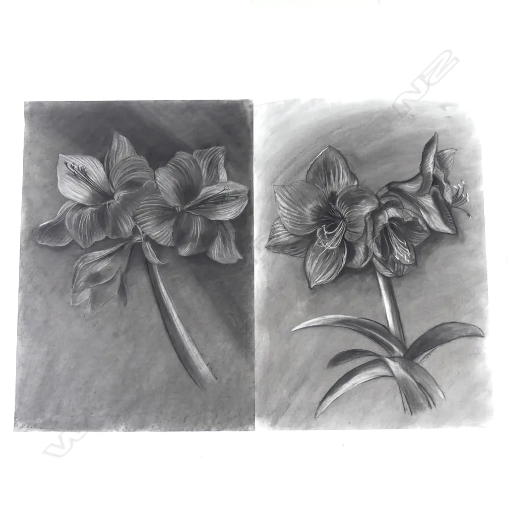 Sandra Morris Image 1++