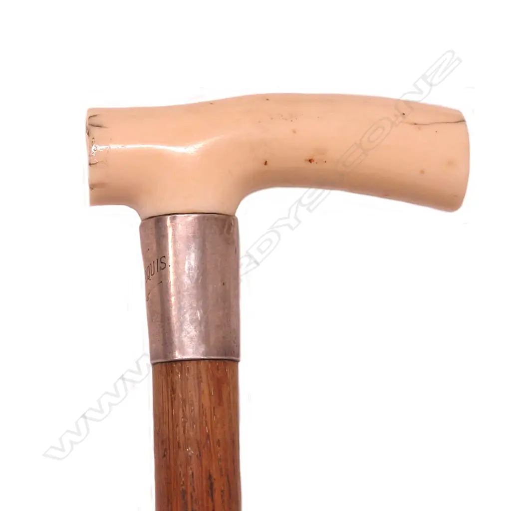A c.1900 ivory handled walking stick Image 1++