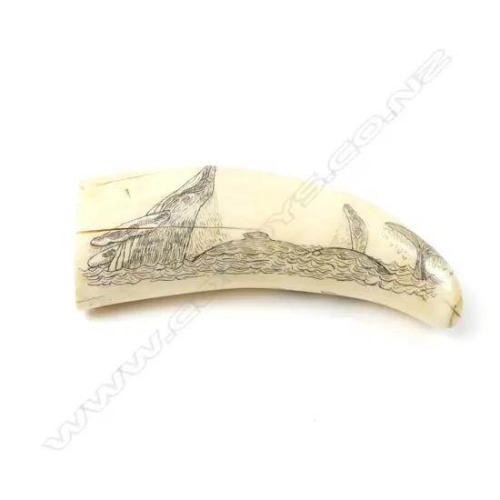 A quality 20thC scrimshaw tooth