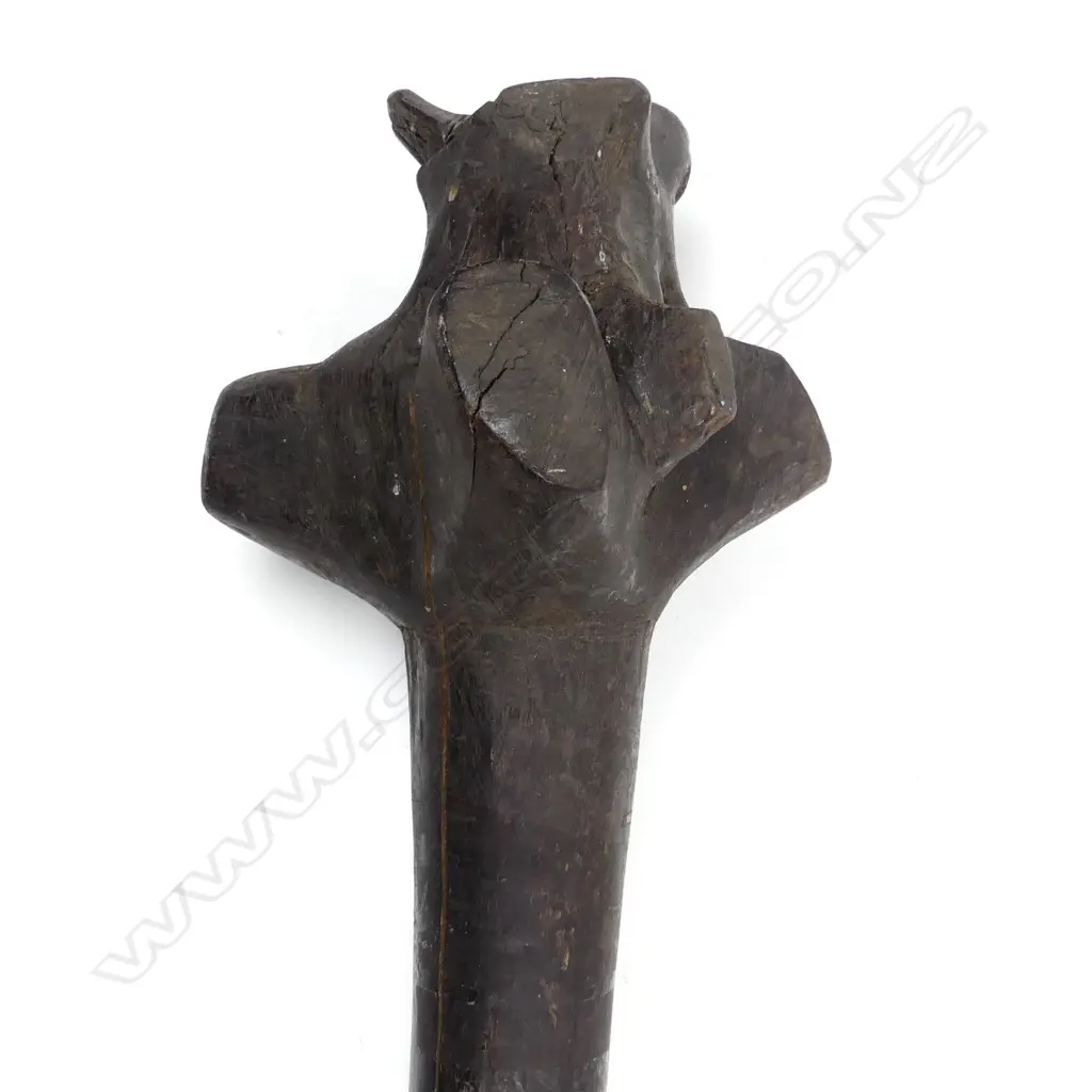 An old Polynesian root-stock club Image 1++