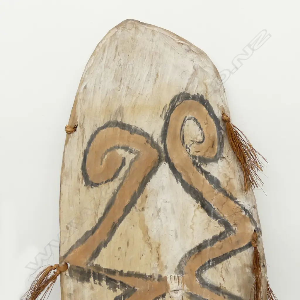 A striking Asmat (New Guinea) tribal carved and decorated shield Image 1++