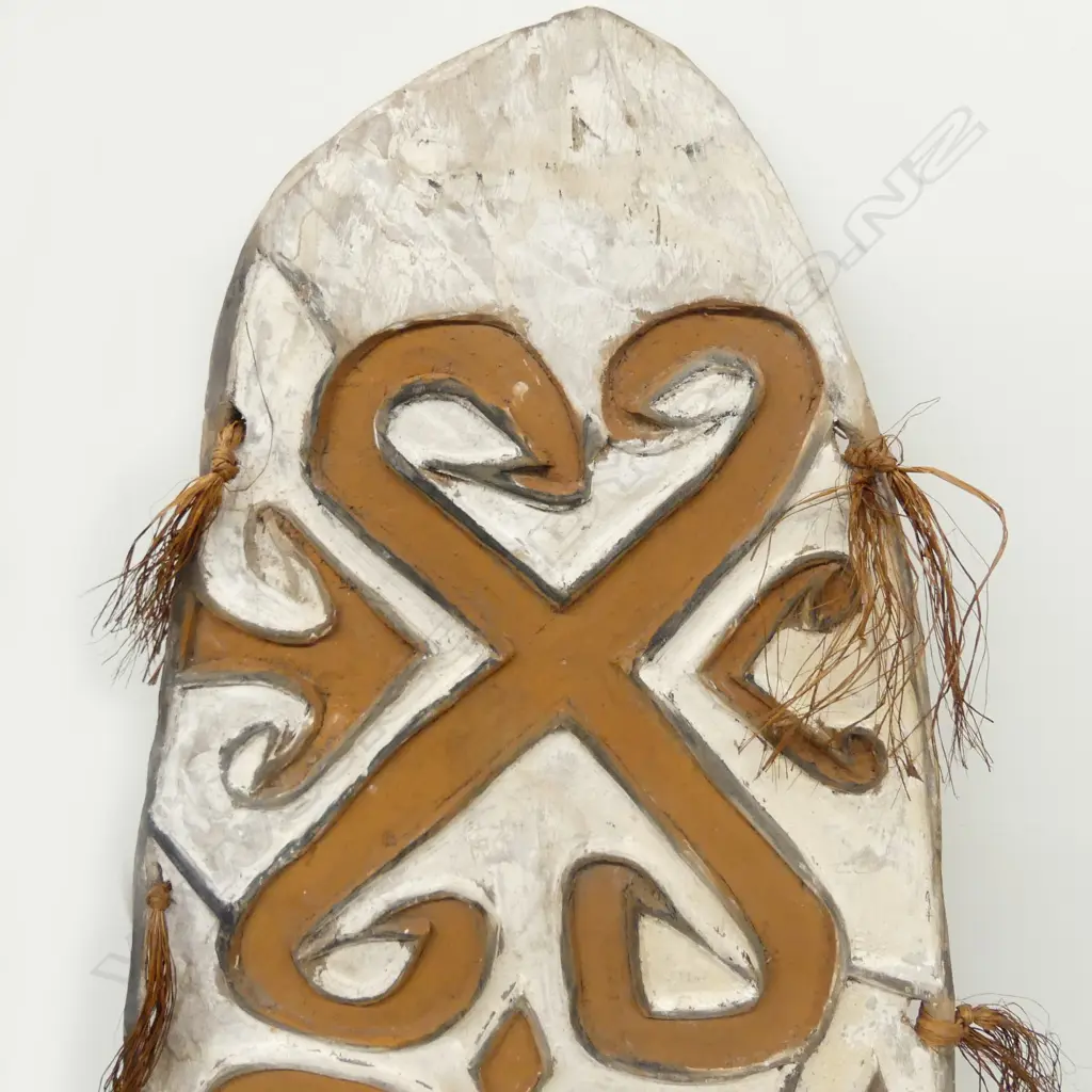 A striking Asmat (New Guinea) tribal carved and decorated shield Image 1++