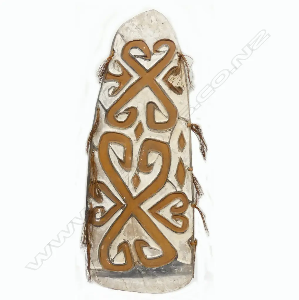 A striking Asmat (New Guinea) tribal carved and decorated shield Image 1++