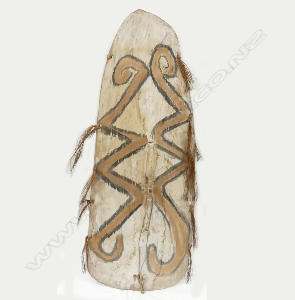 A striking Asmat (New Guinea) tribal carved and decorated shield Image 1++